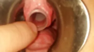 మోనికా డర్ర్
