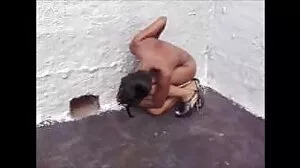 డాలీ డిలైట్