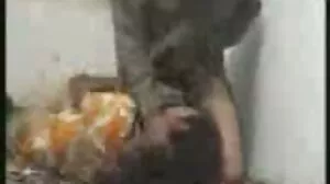 న్యూస్