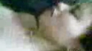 ఆర్థిక నివేదికల